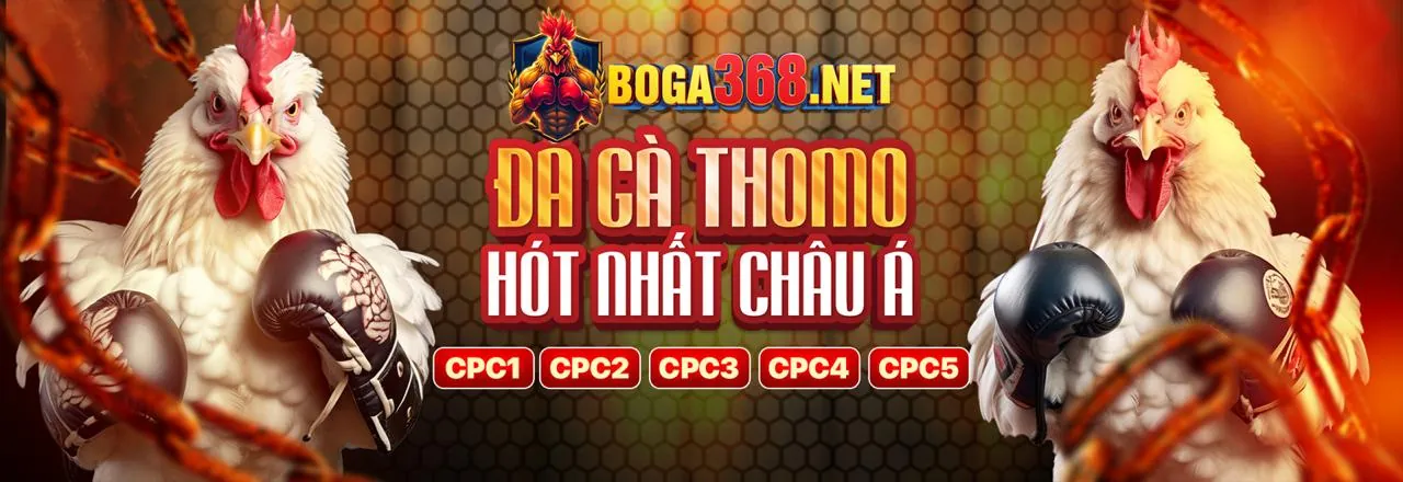 Nền tảng q68bet cam kết bảo mật tuyệt đối cho người chơi
